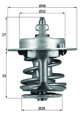 Thermostat d'eau