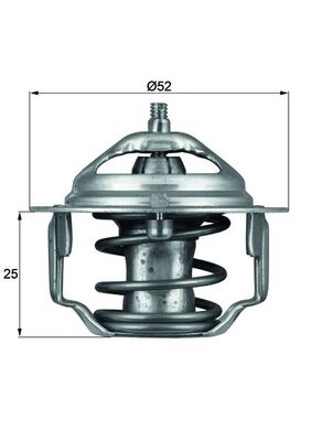 Thermostat d'eau