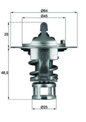 Thermostat d'eau