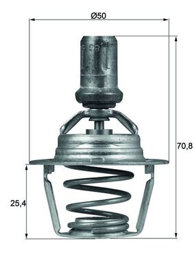 Thermostat d'eau