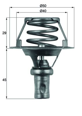 Thermostat d'eau