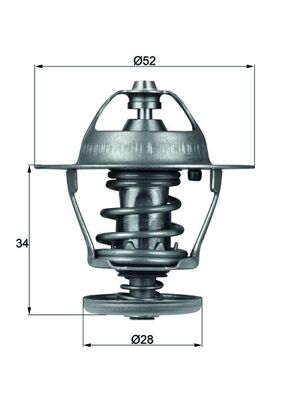 Thermostat d'eau