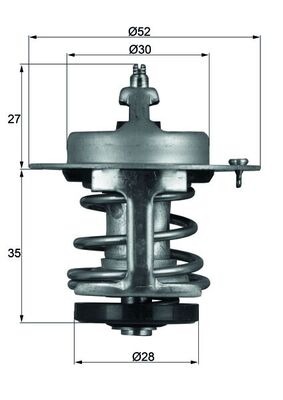 Thermostat d'eau