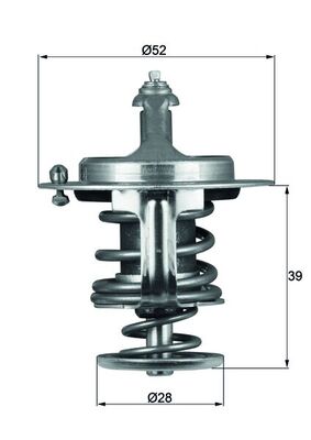 Thermostat d'eau