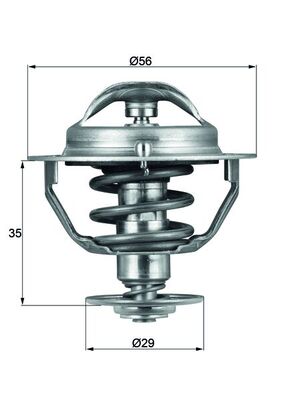 Thermostat d'eau