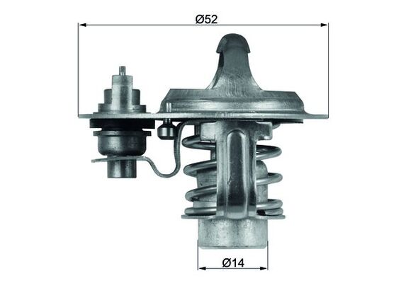 Thermostat d'eau