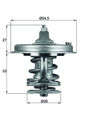 Thermostat d'eau