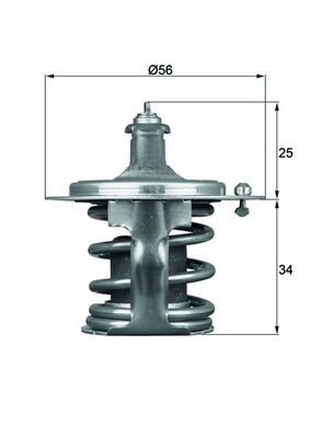 Thermostat d'eau