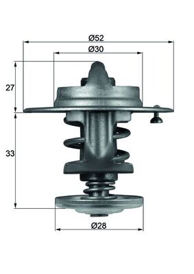 Thermostat d'eau