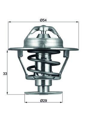 Thermostat d'eau