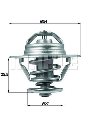 Thermostat d'eau