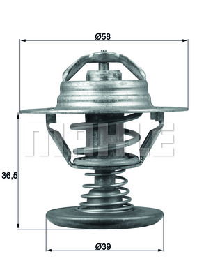 Thermostat d'eau