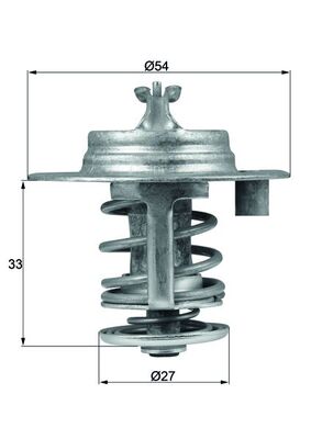 Thermostat d'eau