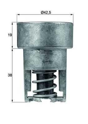 Thermostat d'eau