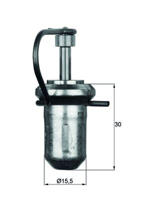 Thermostat d'eau