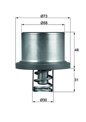 Thermostat d'eau