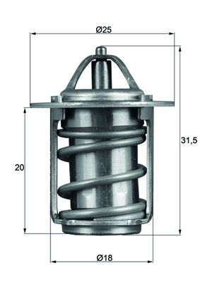 Thermostat d'eau