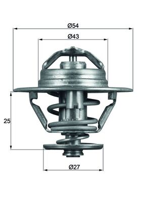 Thermostat d'eau