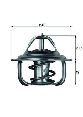 Thermostat d'eau