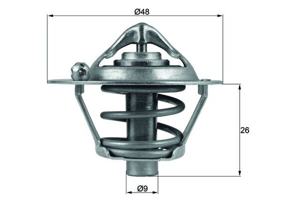 Thermostat d'eau