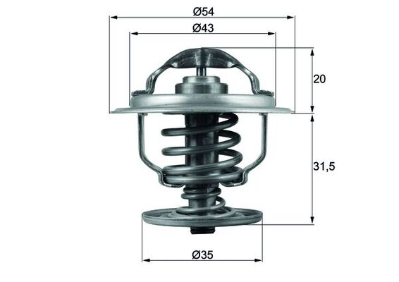 Thermostat d'eau