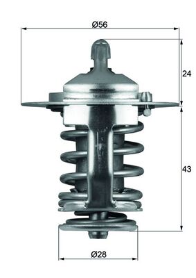 Thermostat d'eau