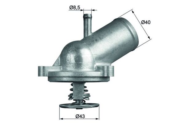 Thermostat d'eau