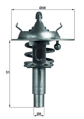 Thermostat d'eau