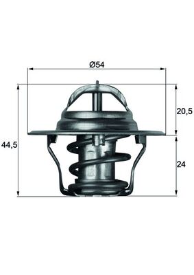 Thermostat d'eau