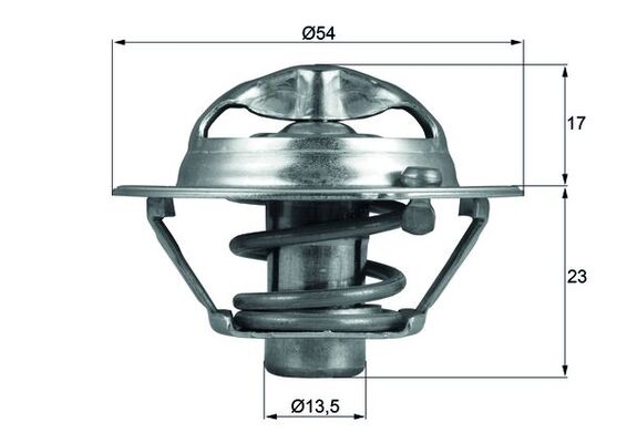 Thermostat d'eau