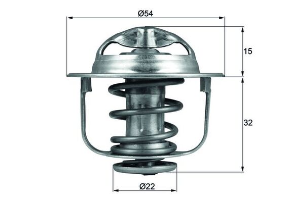 Thermostat d'eau