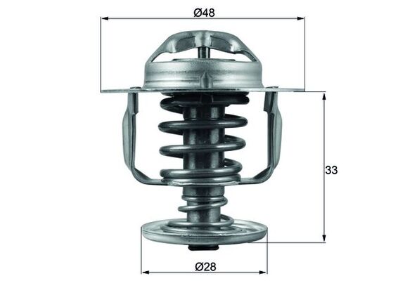 Thermostat d'eau