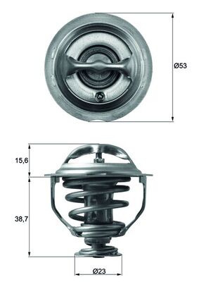 Thermostat d'eau