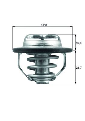 Thermostat d'eau