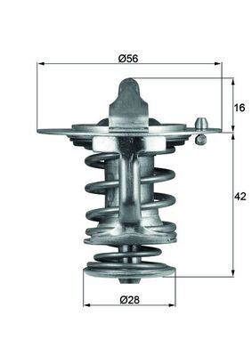 Thermostat d'eau