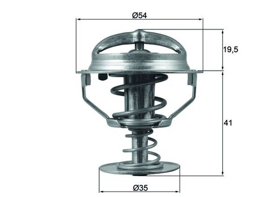 Thermostat d'eau