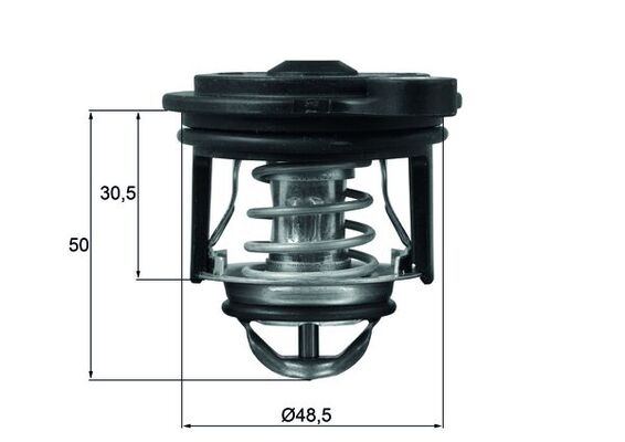 Thermostat d'eau