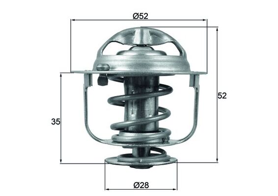 Thermostat d'eau