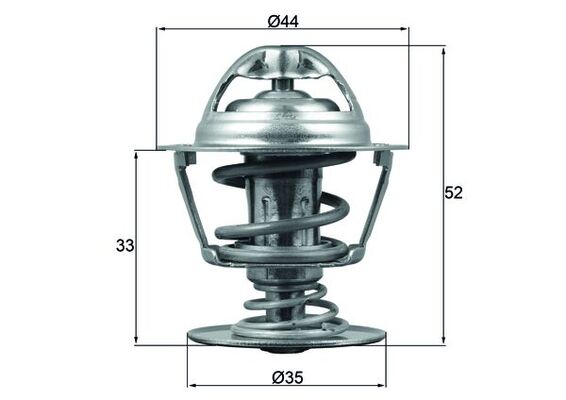 Thermostat d'eau