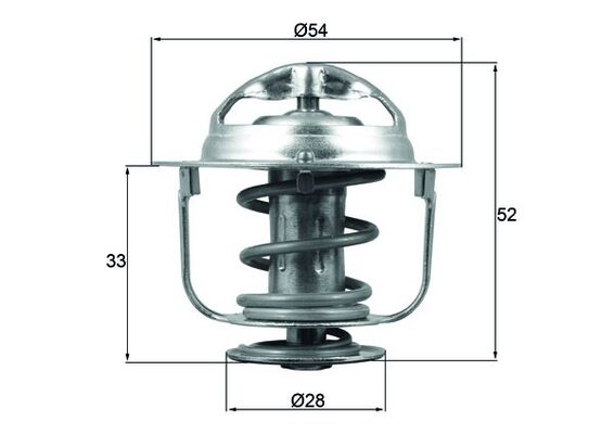 Thermostat d'eau