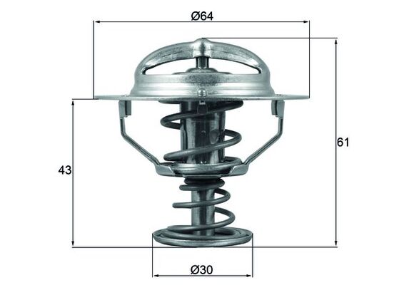 Thermostat d'eau