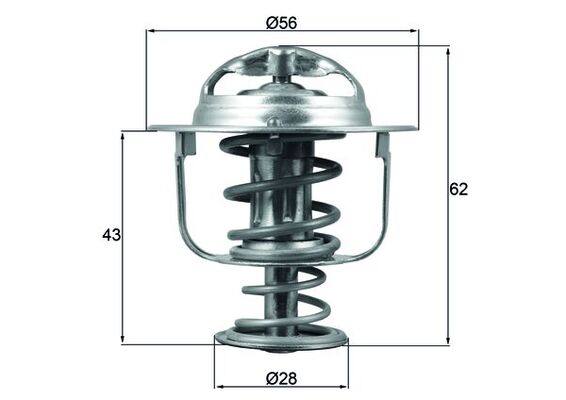 Thermostat d'eau