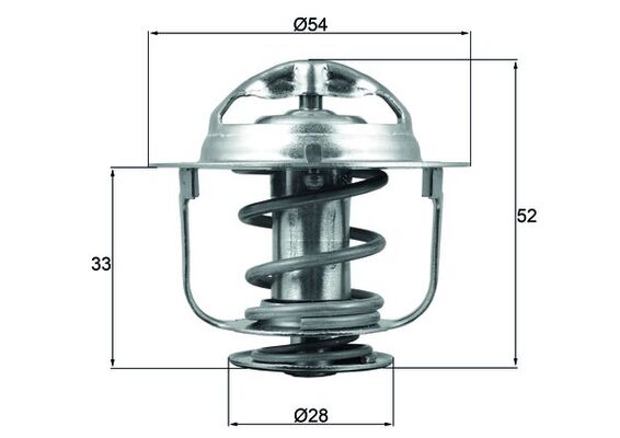 Thermostat d'eau