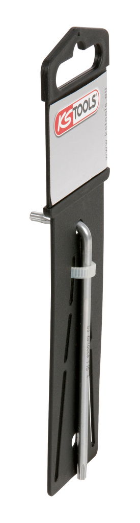 Clé mâleTORX, T25 - 20mmx100mm, sur support
