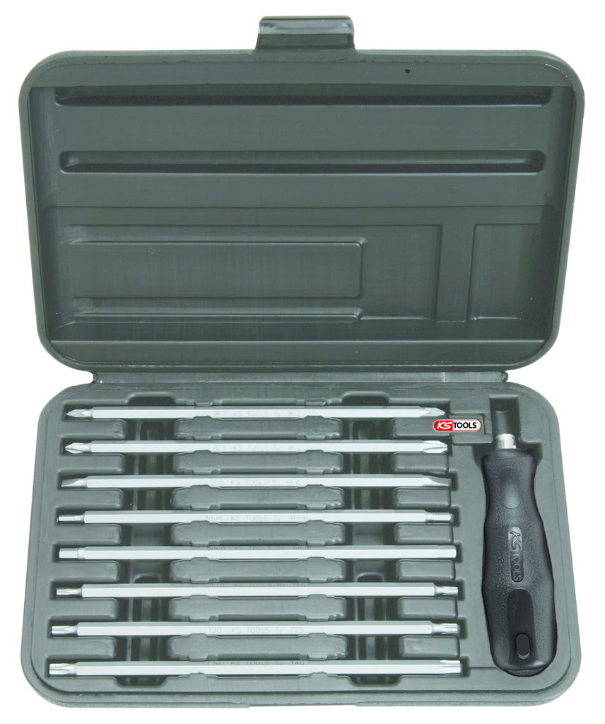 Lame à double embouts  TORX 10 X 15