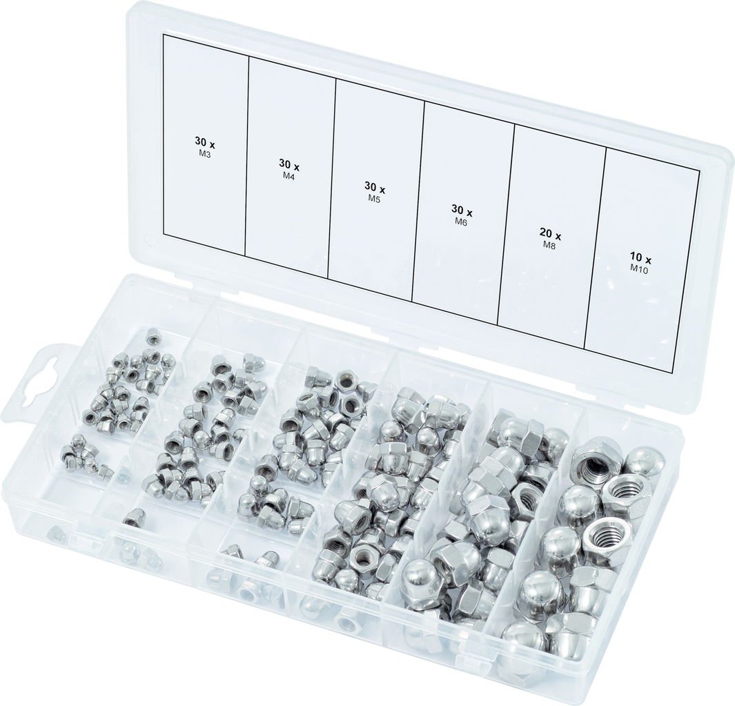 Assortiment d'écrous borgnes en inox, 150 pcs 